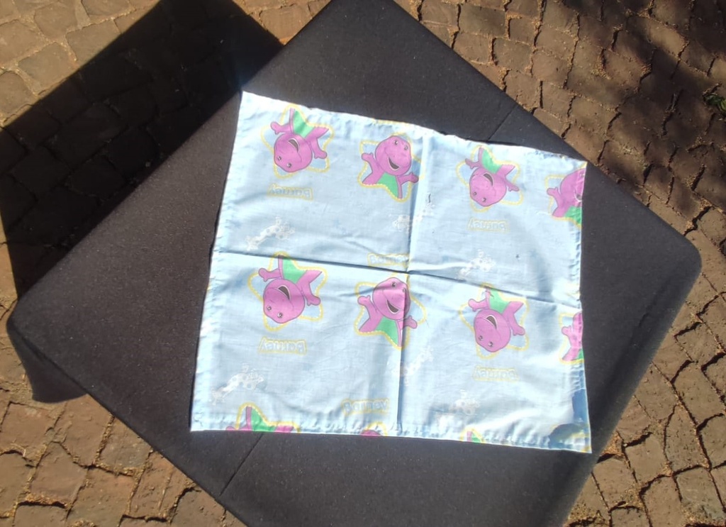 Disney Table Throw - Barney 